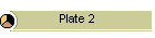 Plate 2