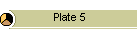 Plate 5