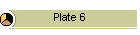 Plate 6
