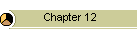 Chapter 12