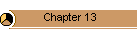 Chapter 13