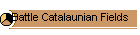 Battle Catalaunian Fields