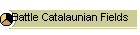 Battle Catalaunian Fields