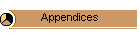 Appendices