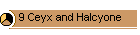 9 Ceyx and Halcyone