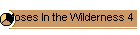 Moses In the Wilderness 4