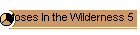 Moses In the Wilderness 5