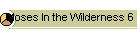 Moses In the Wilderness 6