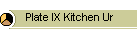 Plate IX Kitchen Ur
