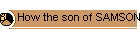 81. How the son of SAMSON slew the son of the King of the PHILISTINES