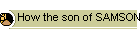 81. How the son of SAMSON slew the son of the King of the PHILISTINES