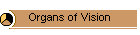 Organs of Vision