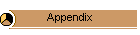 Appendix